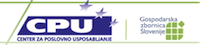 Institute for Business Education